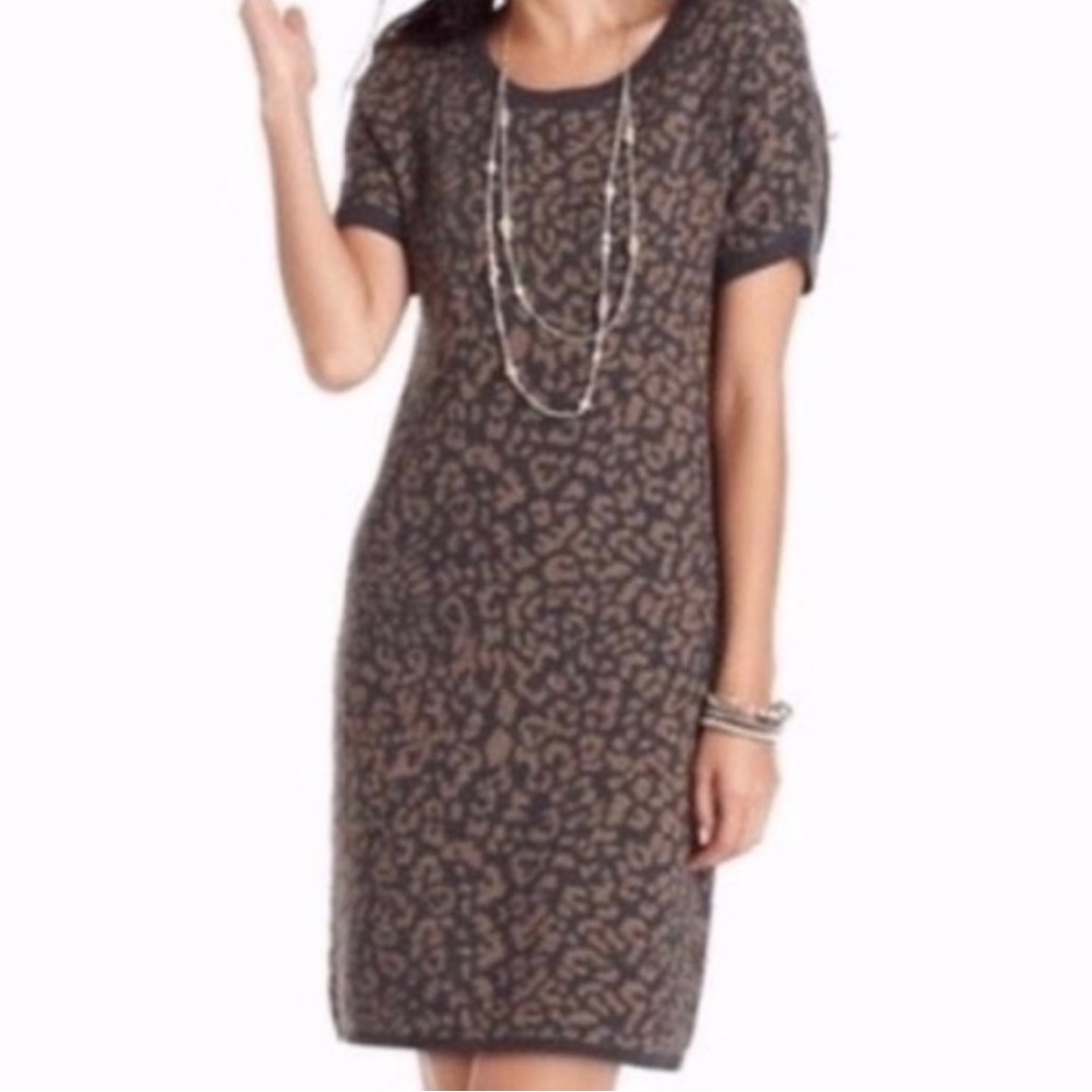 *LOFT* Sweater Dress